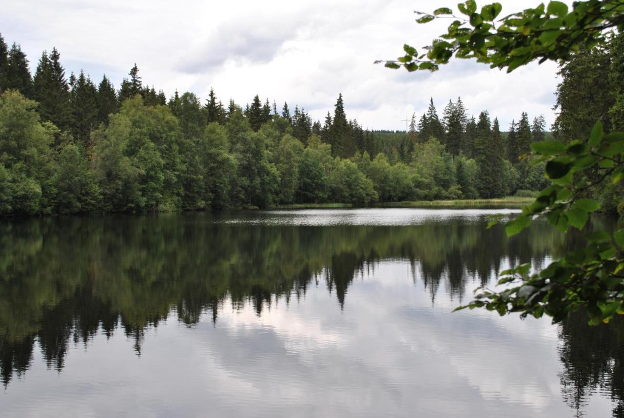 Harz-Rose Διαμέρισμα Braunlage Εξωτερικό φωτογραφία