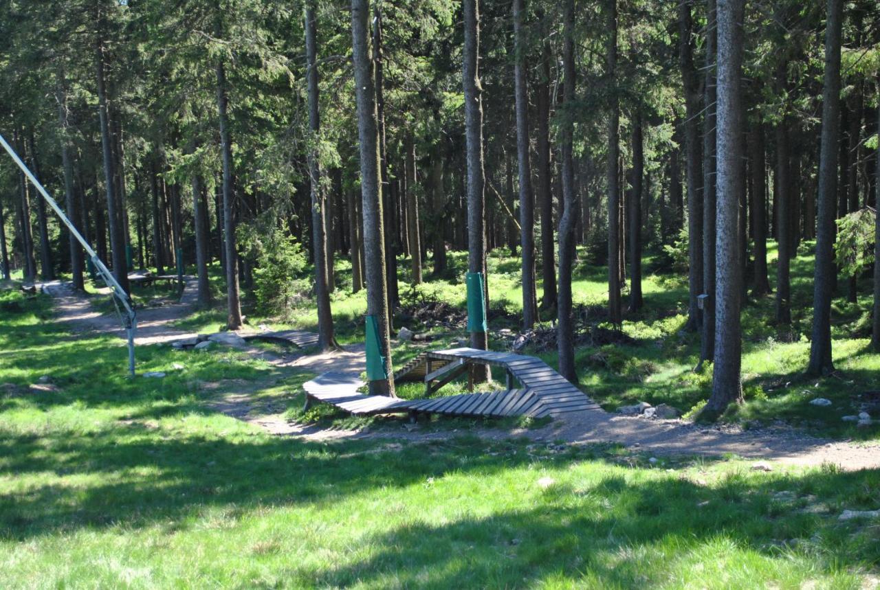 Harz-Rose Διαμέρισμα Braunlage Εξωτερικό φωτογραφία