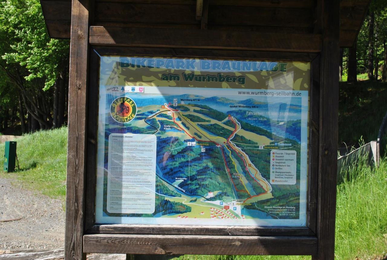 Harz-Rose Διαμέρισμα Braunlage Εξωτερικό φωτογραφία