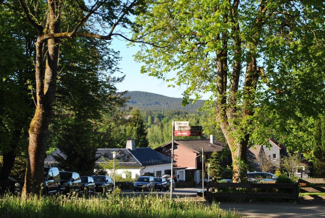 Harz-Rose Διαμέρισμα Braunlage Εξωτερικό φωτογραφία