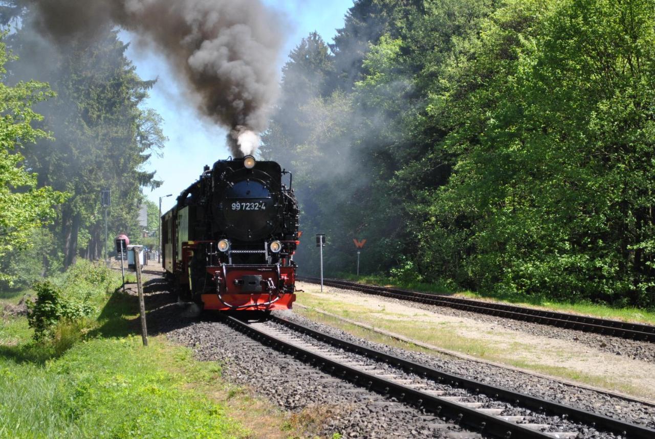Harz-Rose Διαμέρισμα Braunlage Εξωτερικό φωτογραφία