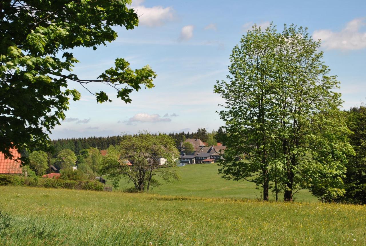 Harz-Rose Διαμέρισμα Braunlage Εξωτερικό φωτογραφία