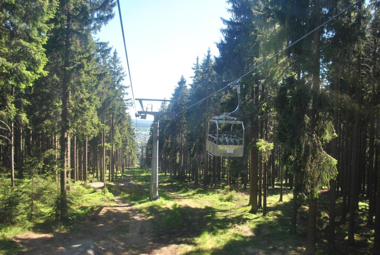 Harz-Rose Διαμέρισμα Braunlage Εξωτερικό φωτογραφία