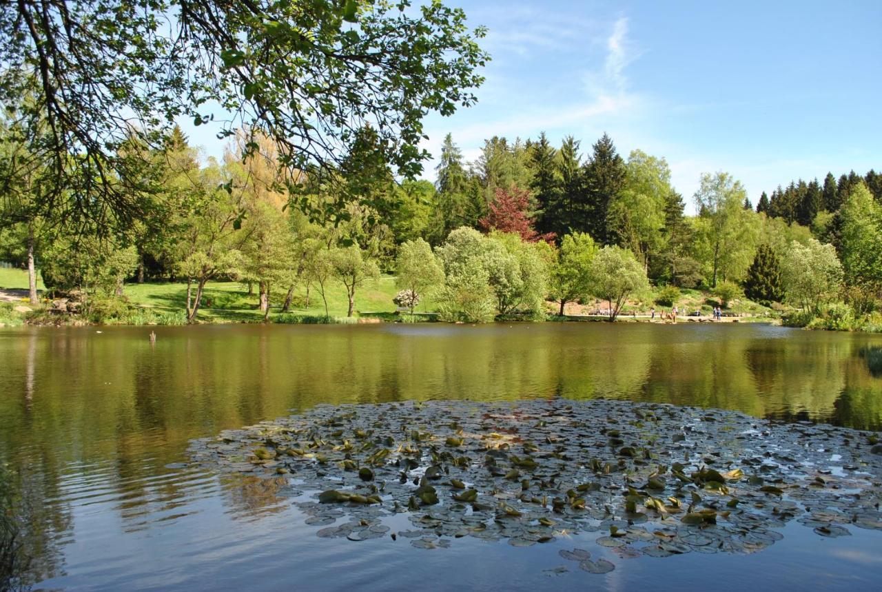Harz-Rose Διαμέρισμα Braunlage Εξωτερικό φωτογραφία
